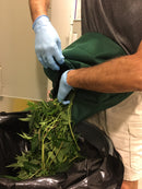 The Fantastic Apron for De-leafing and Harvest