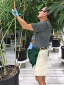 The Fantastic Apron for De-leafing and Harvest