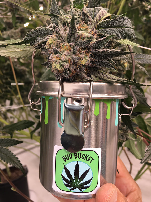 marijuana air tight storage canister